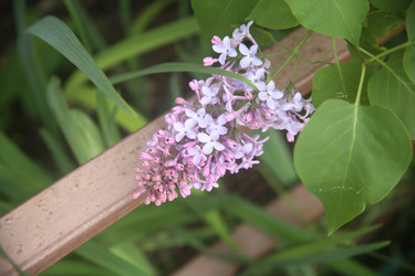 Similar image 22756646