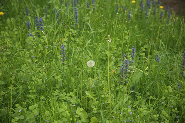 Similar image 22760178
