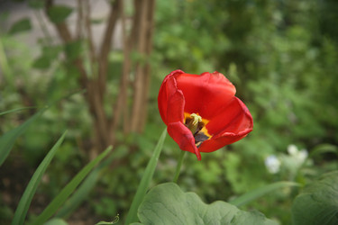 Similar image 22756647