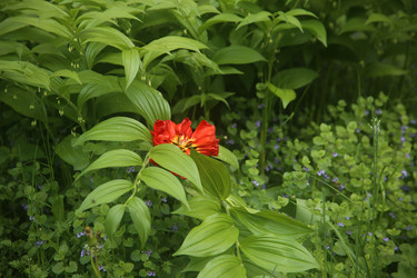 Similar image 22759041