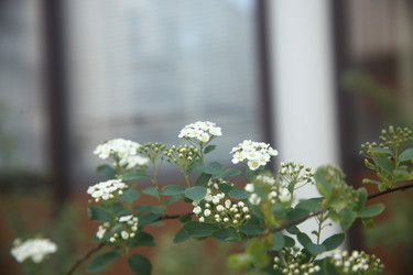 Similar image 22760148