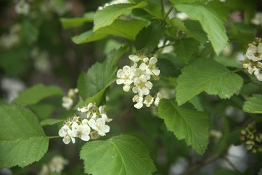 Similar image 22756598
