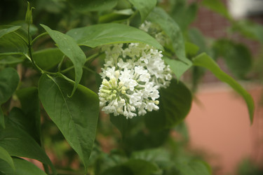 Similar image 22756599