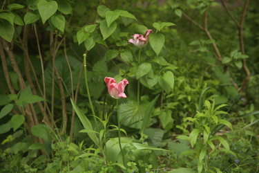 Similar image 22756600