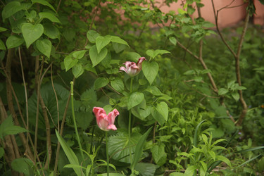Similar image 22756601