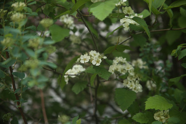 Similar image 22760149