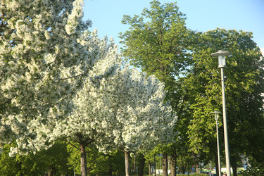 Similar image 22756603