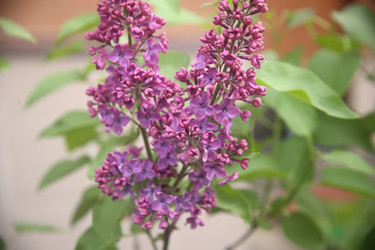 Similar image 22742940