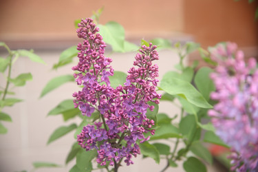 Similar image 22742941