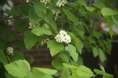 Similar image 22756604