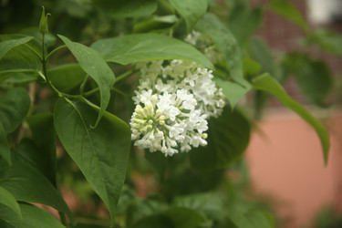 Similar image 22756607