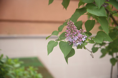 Similar image 22741624