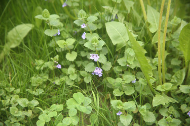 Similar image 22756608