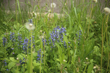 Similar image 22756609
