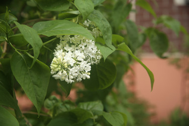 Similar image 22749457