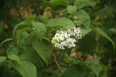 Similar image 22756610