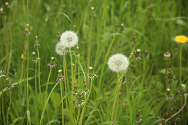 Similar image 22759043