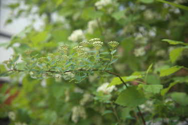 Similar image 22760152
