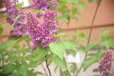 Similar image 22738502