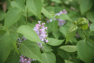 Similar image 22741627