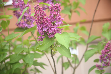 Similar image 22741628