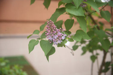 Similar image 22741630