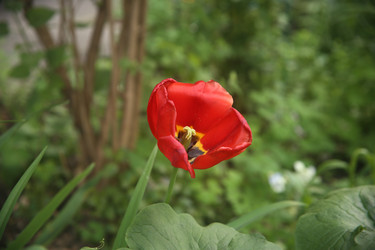 Similar image 22749458