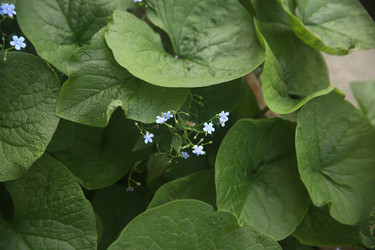 Similar image 22756613