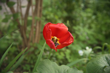 Similar image 22749459