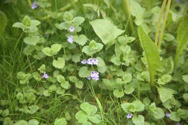 Similar image 22756614