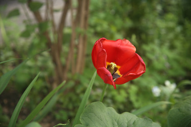 Similar image 22749460