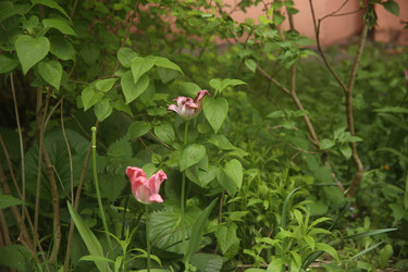 Similar image 22756615