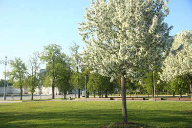 Similar image 22756616