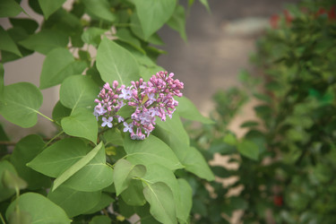 Similar image 22741639