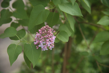 Similar image 22741641