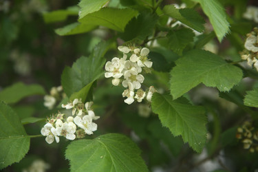 Similar image 22749461