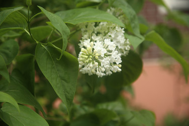 Similar image 22749462