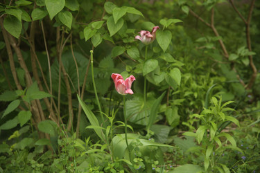 Similar image 22756617