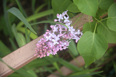 Similar image 22741642