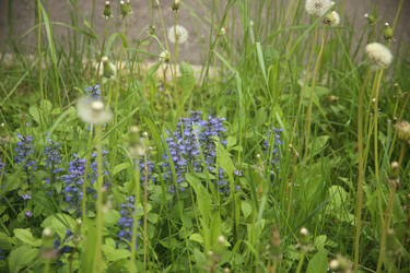 Similar image 22749464