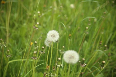 Similar image 22760155