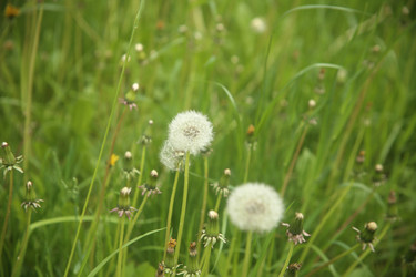 Similar image 22760163