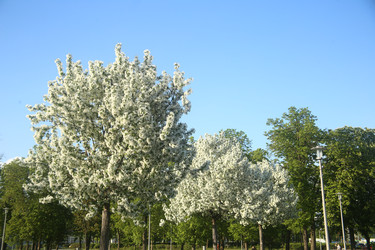 Similar image 22756620