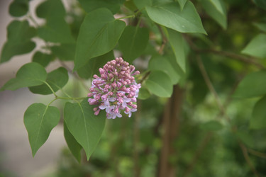 Similar image 22741644