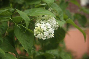 Similar image 22749466