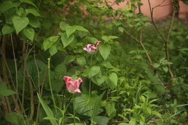 Similar image 22756621