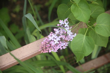 Similar image 22741645