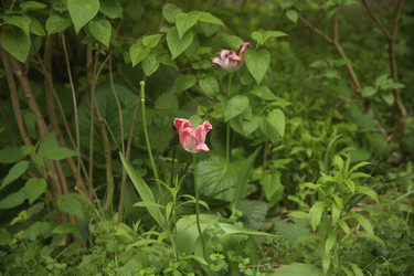 Similar image 22756622