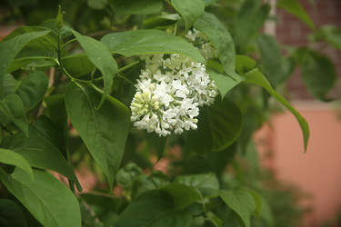 Similar image 22756623
