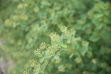 Similar image 22760164